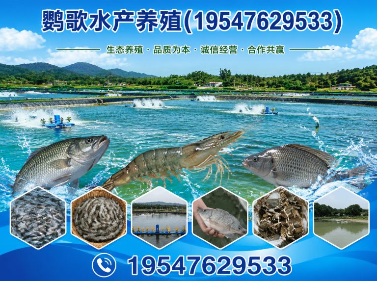 青白江区鹦歌水产养殖展示图